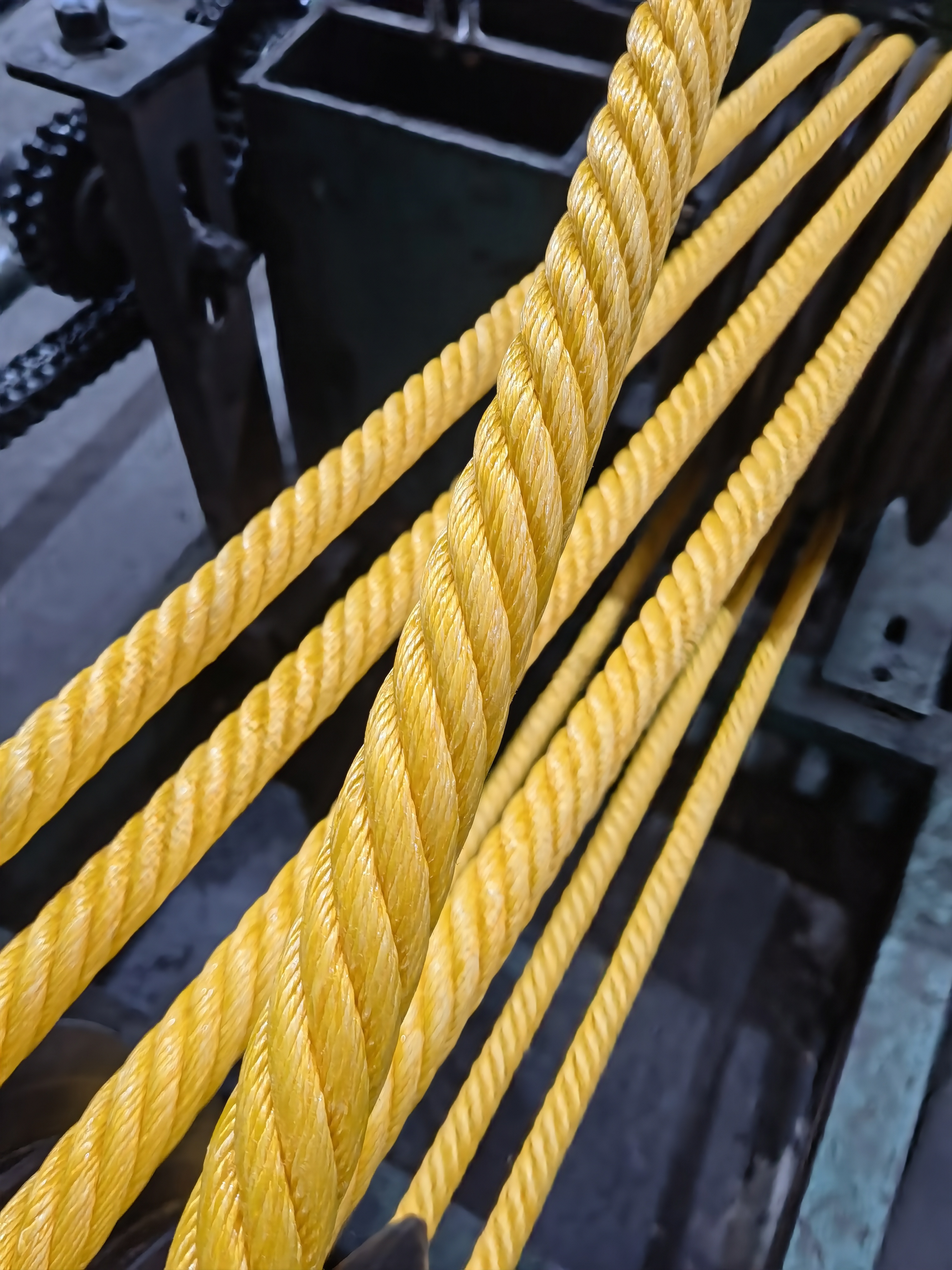 AB05C29608A2DABB03135775CCE4B6F