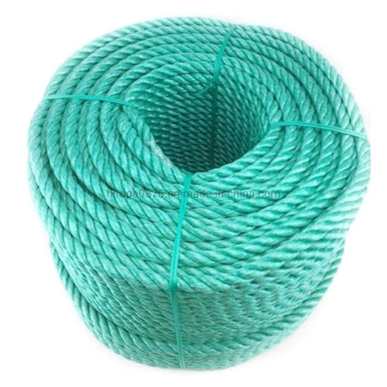 绿色 3 股卷聚丙烯绳